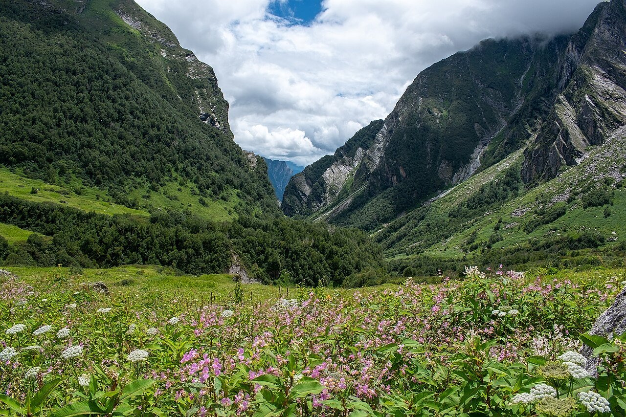 Valley of Flowers – ₹11,999