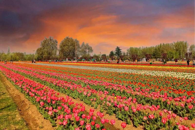 Agra – Delhi – Kashmir – ₹14,999 (Delhi to Delhi)