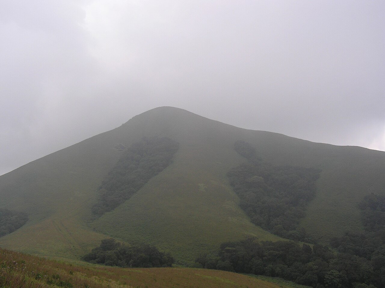 Brahmagiri Trek – ₹1,399