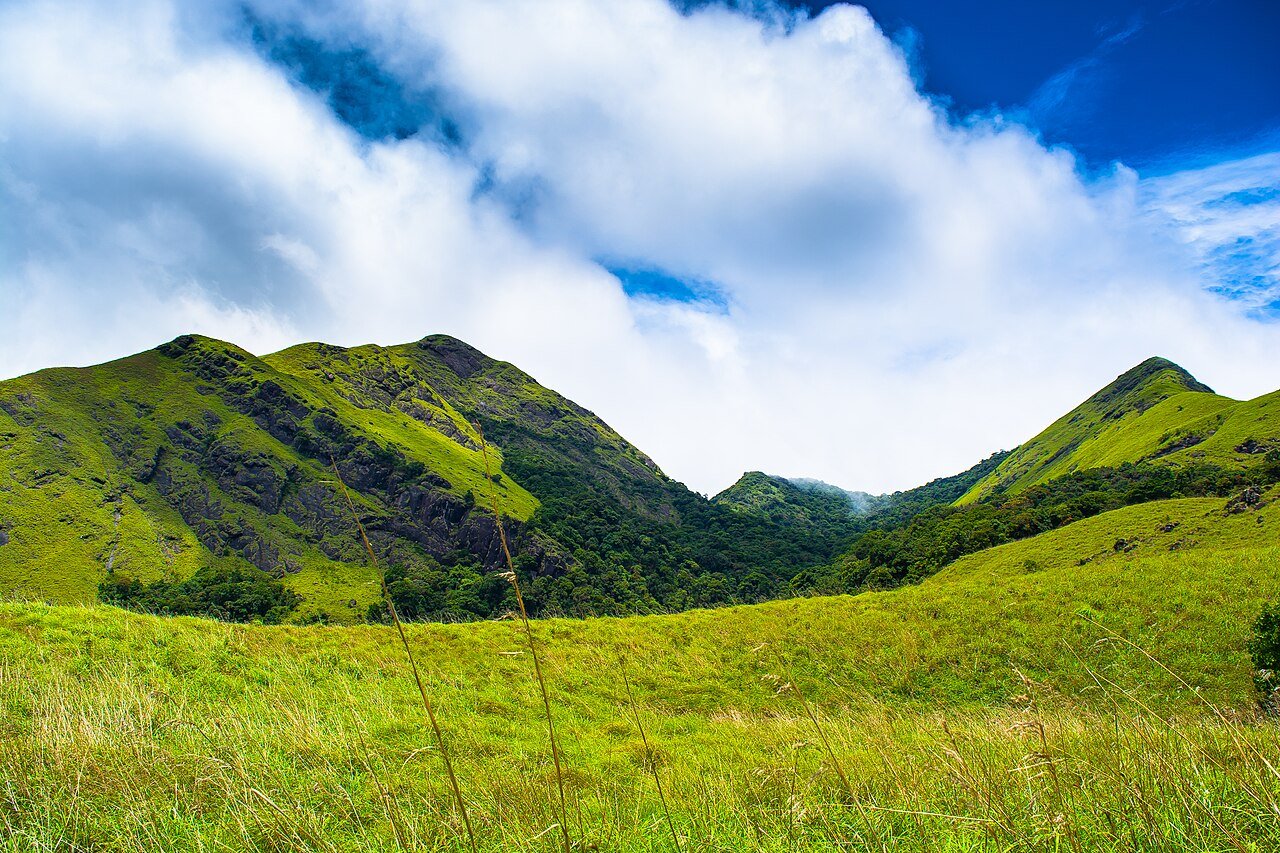 Wayanad – ₹2,999